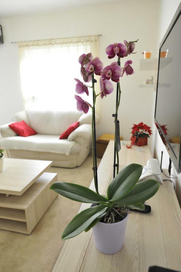 Vlatka Apartman 斯普利特 外观 照片